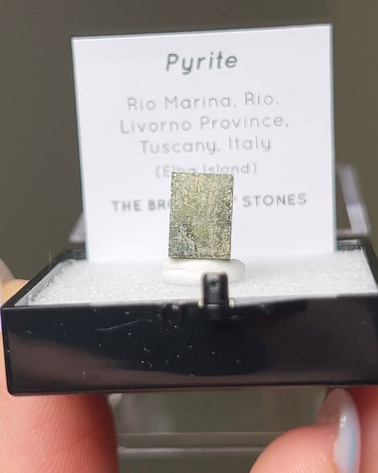 黃鐵礦 - 義大利厄爾巴島