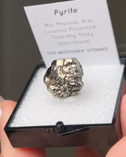 Pyrite - Elba Island, Italy