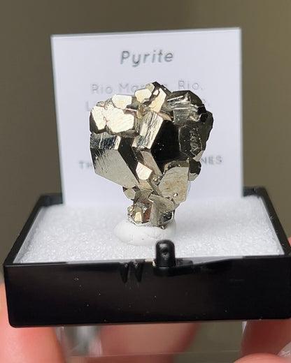 黃鐵礦 - 義大利厄爾巴島