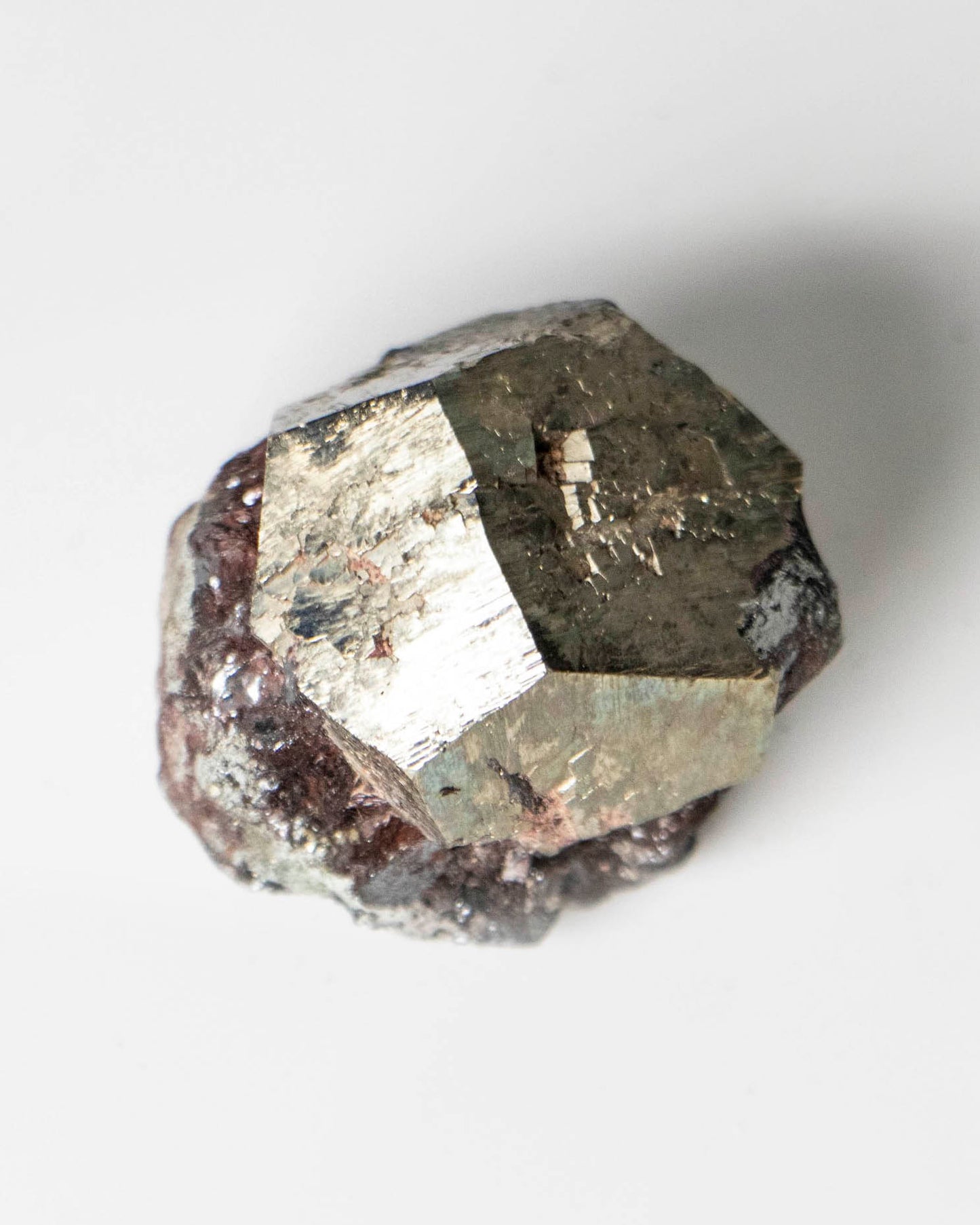 黃鐵礦共生赤鐵礦 - 義大利厄爾巴島