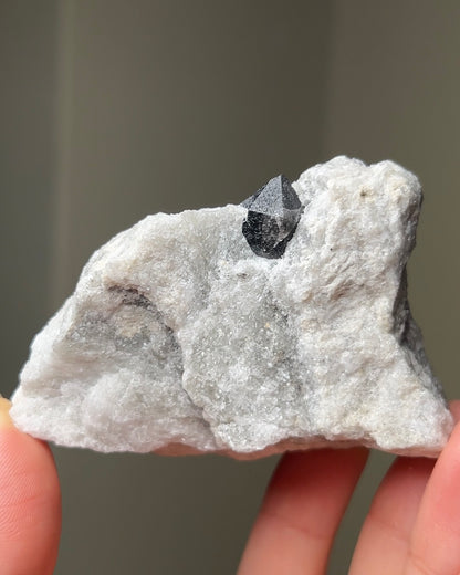 Black Quartz on Anhydrite - Reggio Emilia, Italy