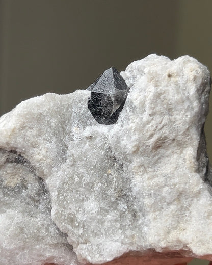 Black Quartz on Anhydrite - Reggio Emilia, Italy