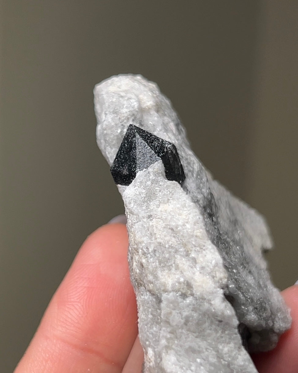 Black Quartz on Anhydrite - Reggio Emilia, Italy