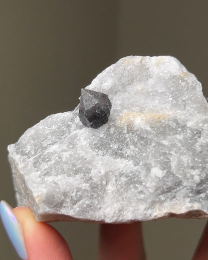 黑水晶硬石膏 - 義大利