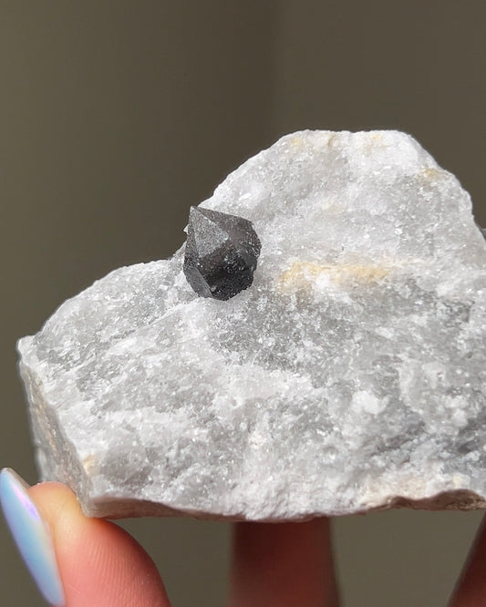 黑水晶硬石膏 - 義大利