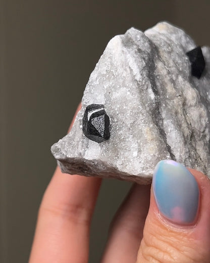 黑水晶硬石膏 - 義大利