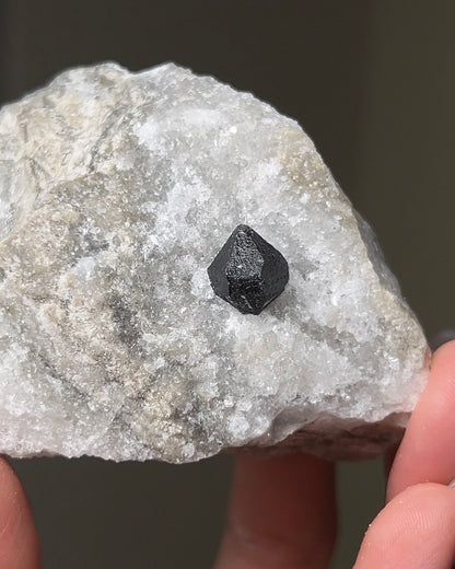 黑水晶硬石膏 - 義大利