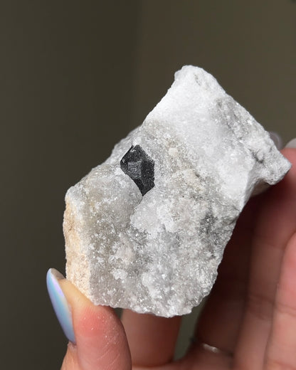 黑水晶硬石膏 - 義大利