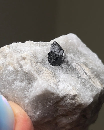 黑水晶硬石膏 - 義大利