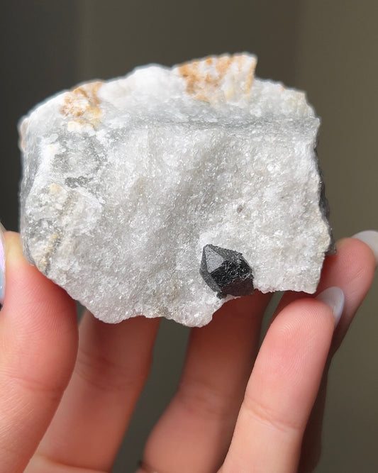 黑水晶硬石膏 - 義大利