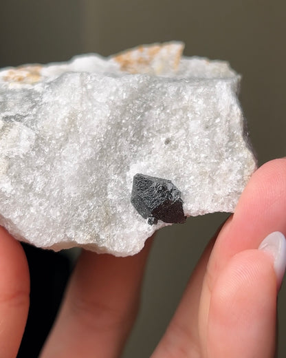 黑水晶硬石膏 - 義大利