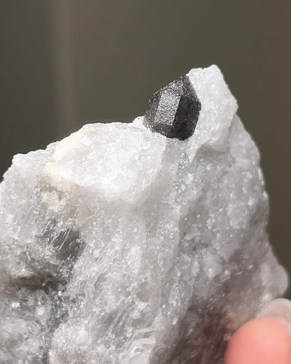 黑水晶硬石膏 - 義大利