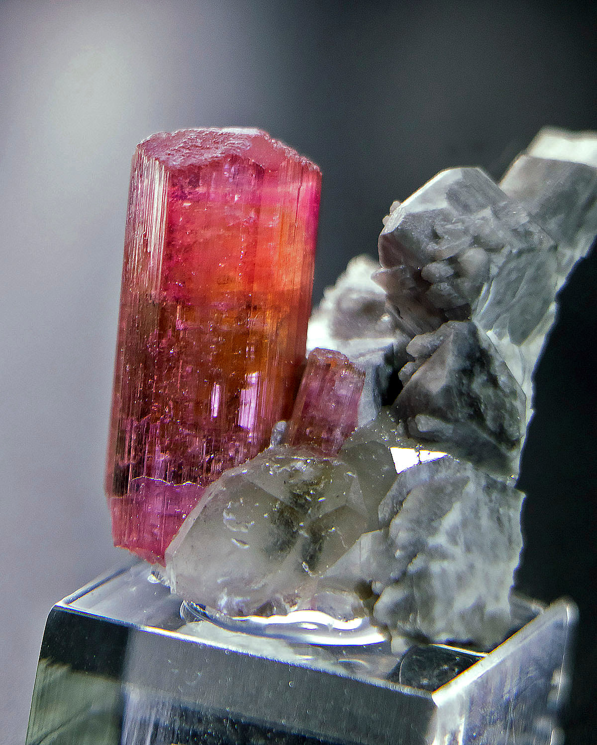 摩洛哥紅碧璽近幾年以少量且高品質的姿態，逐步進入國際收藏市場。