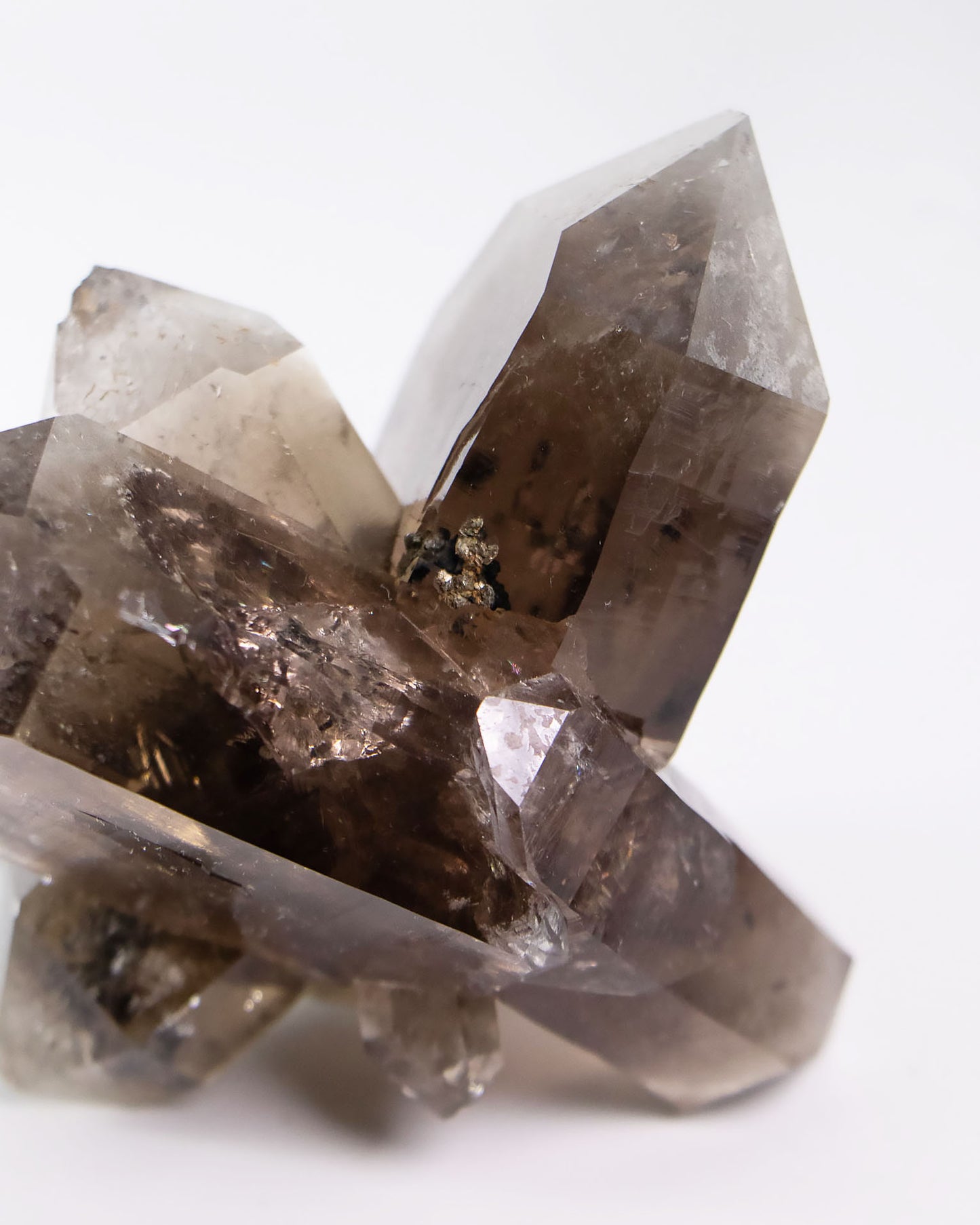 波士尼亞戰士煙晶・療癒系漸層煙晶・自癒能量與穩定力量