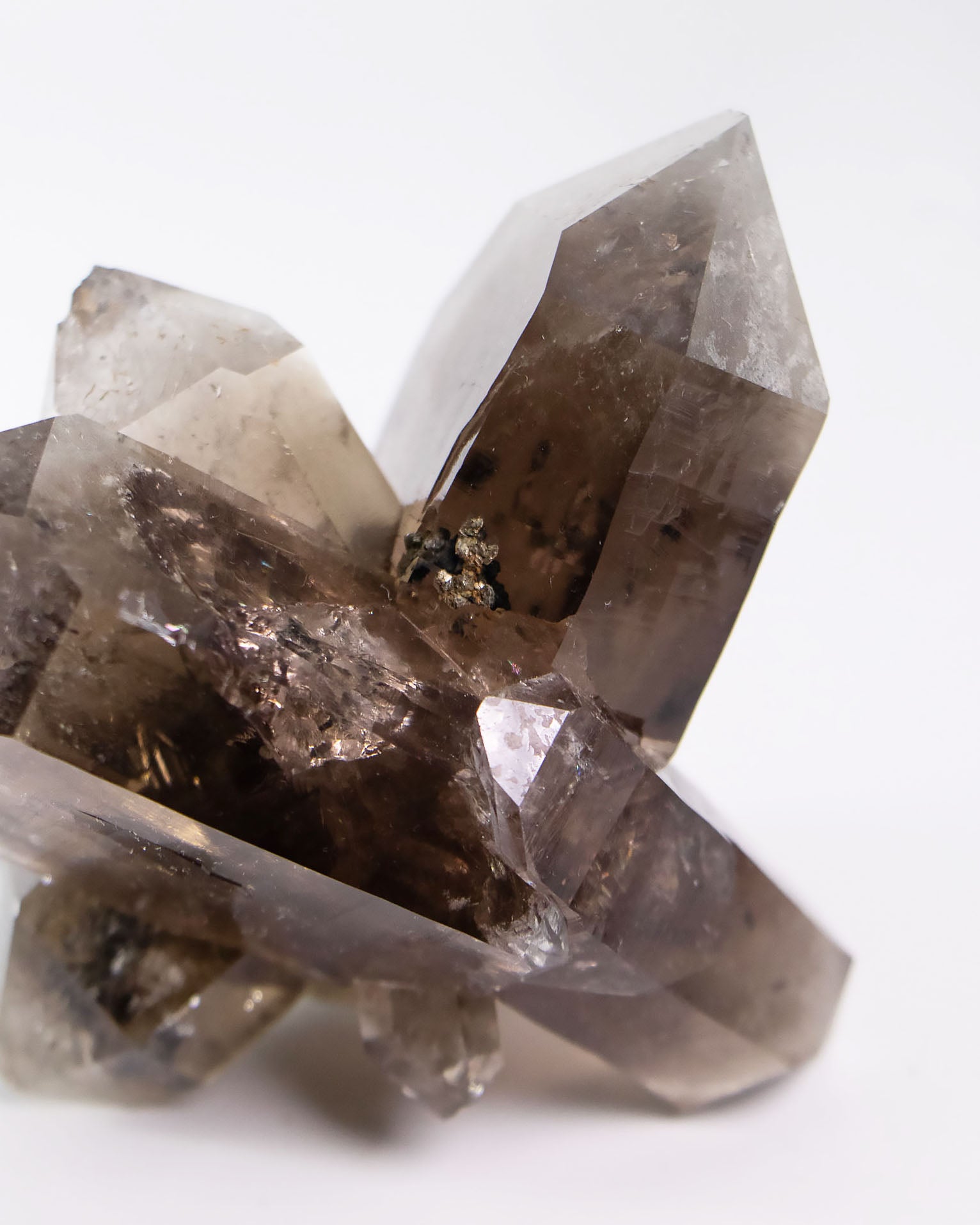 波士尼亞戰士煙晶・療癒系漸層煙晶・自癒能量與穩定力量