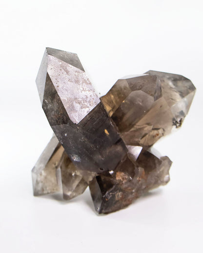 波士尼亞戰士煙晶・療癒系漸層煙晶・自癒能量與穩定力量