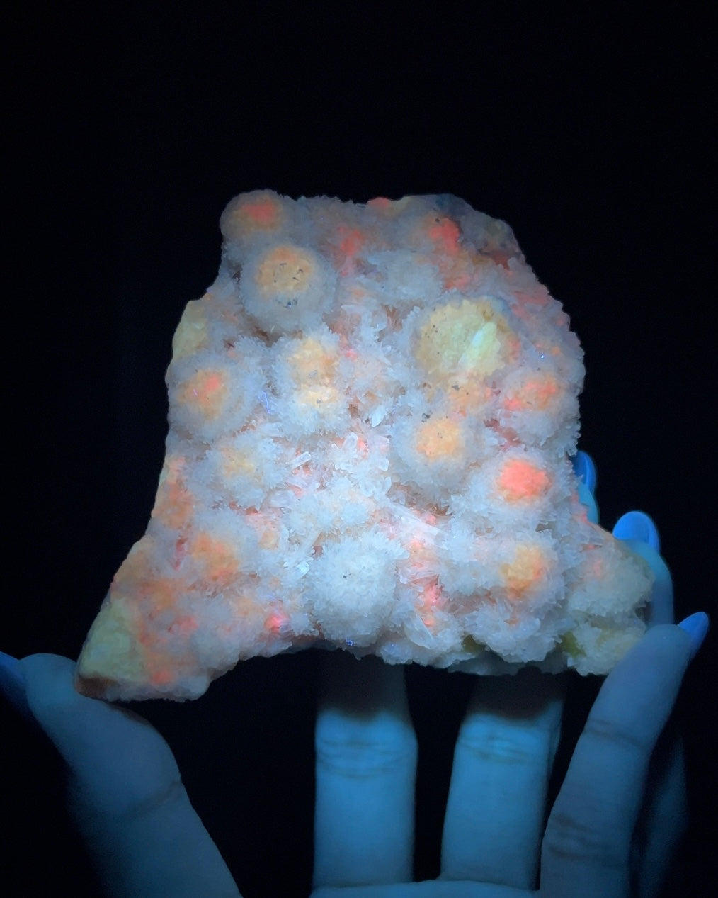 Celestine on Sulfur - Sicily, Italy