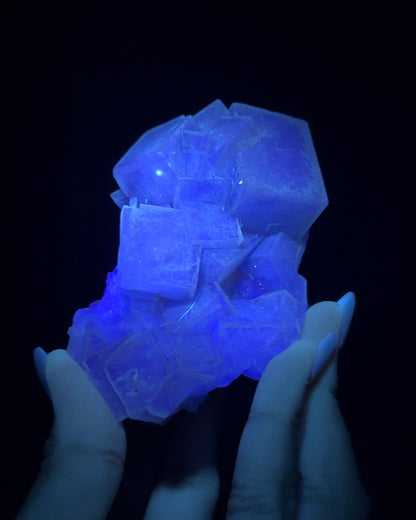 Fluorite - Poggio Balate, Sicily, Italy
