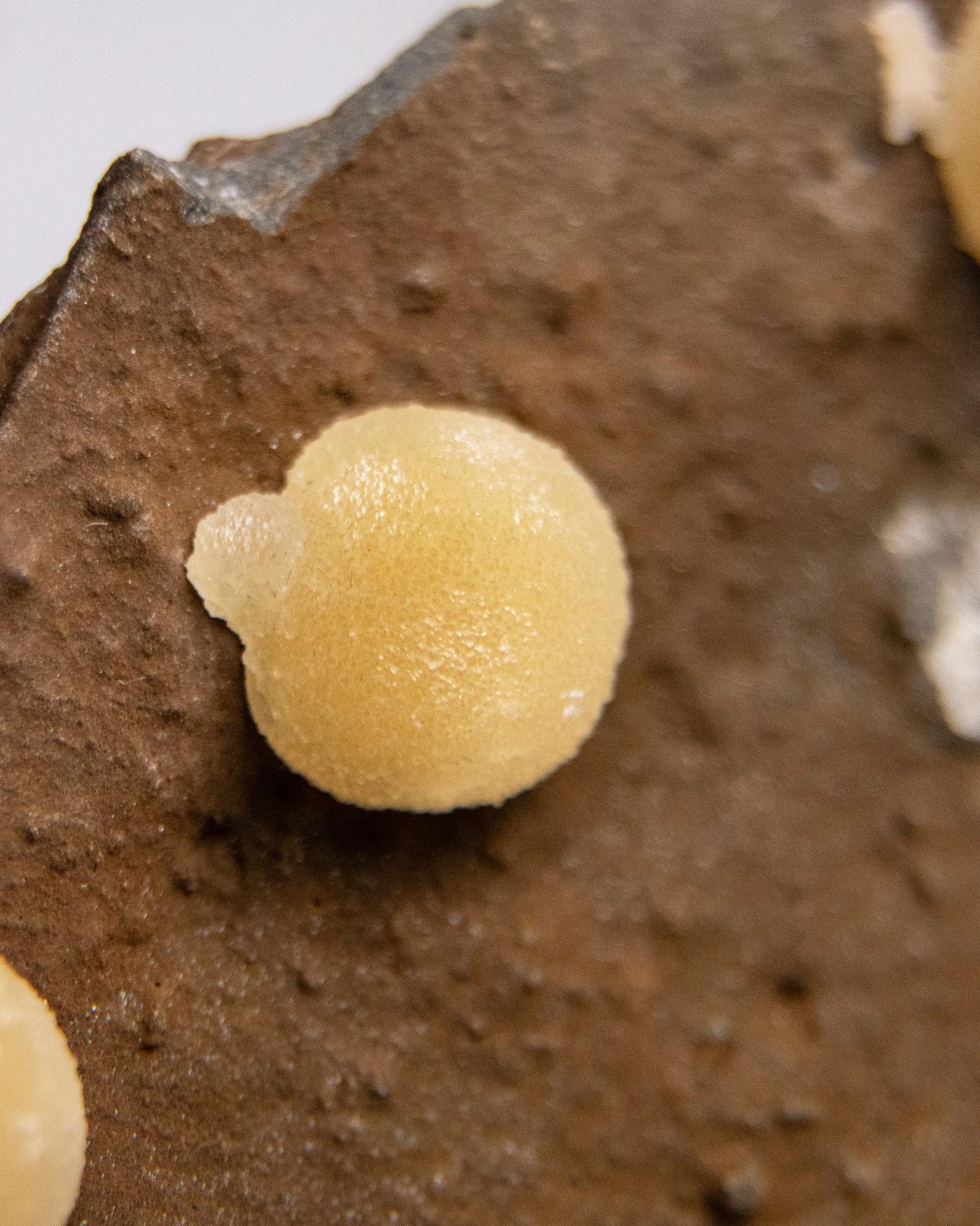 稀有的義大利球狀方解石，常長在玄武岩上 Rare Italian botryoidal calcite typically occurs on basalt.