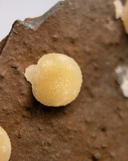 稀有的義大利球狀方解石，常長在玄武岩上 Rare Italian botryoidal calcite typically occurs on basalt.