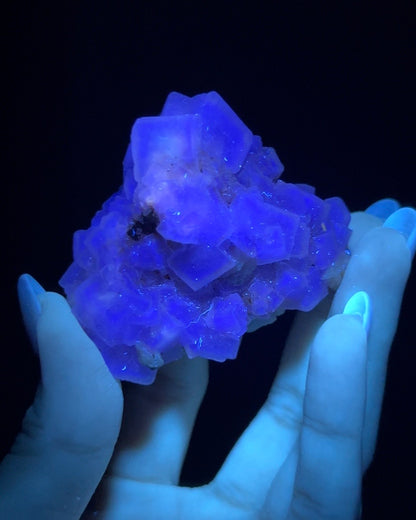 Fluorite - Poggio Balate, Sicily, Italy