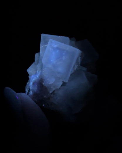 Fluorite - Poggio Balate, Sicily, Italy