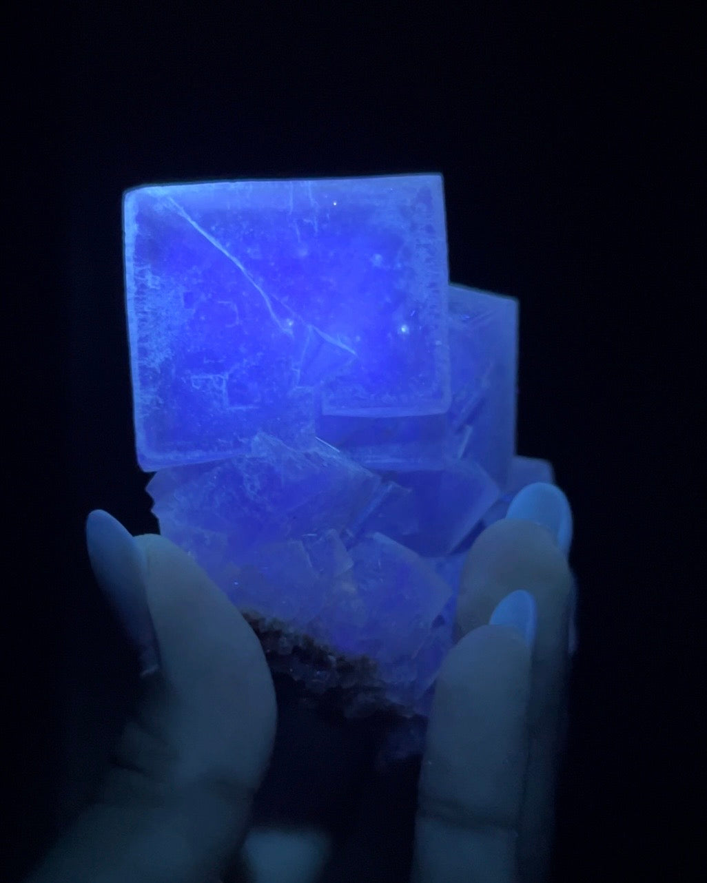 Fluorite - Poggio Balate, Sicily, Italy