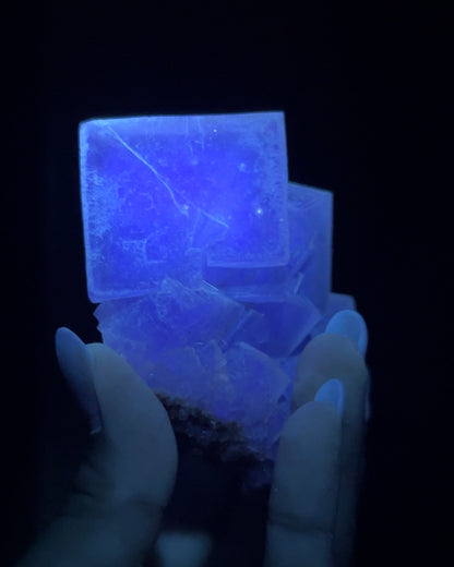 Fluorite - Poggio Balate, Sicily, Italy