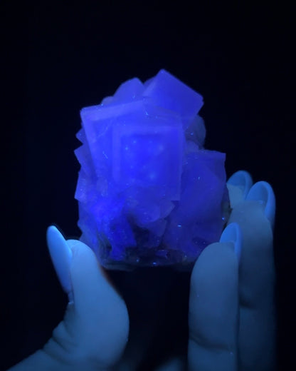 Fluorite - Poggio Balate, Sicily, Italy