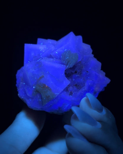Fluorite - Poggio Balate, Sicily, Italy