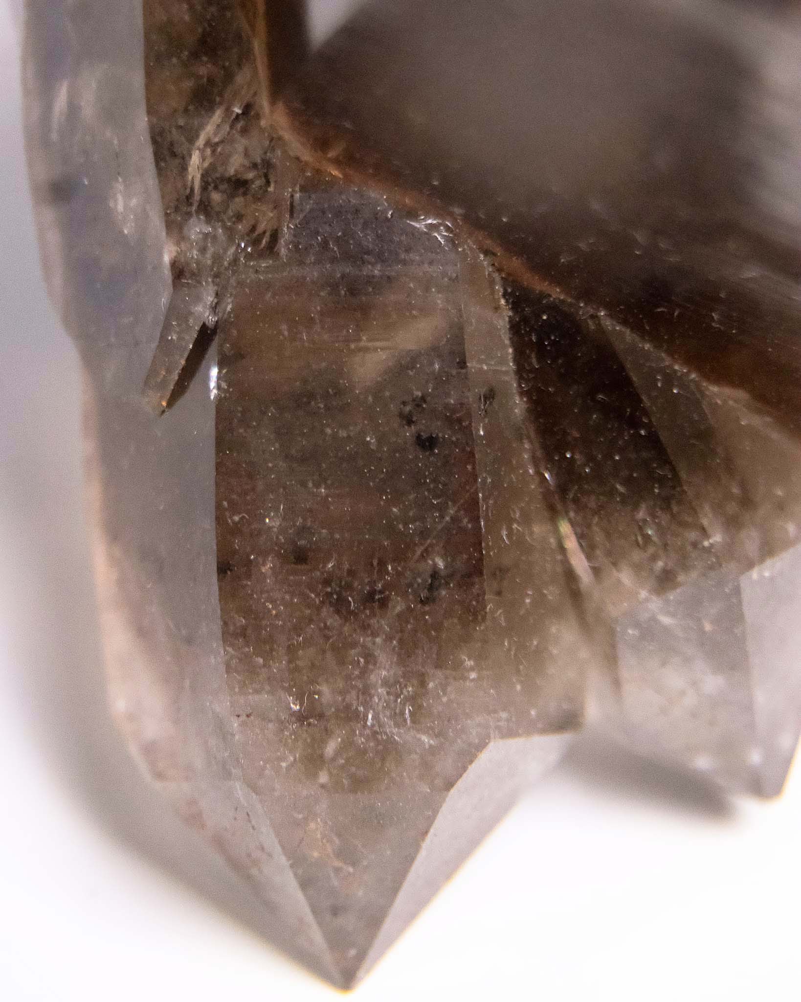 波士尼亞戰士煙晶・療癒系漸層煙晶・自癒能量與穩定力量