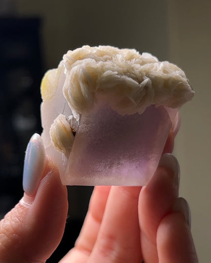 Fluorite - Poggio Balate, Sicily, Italy