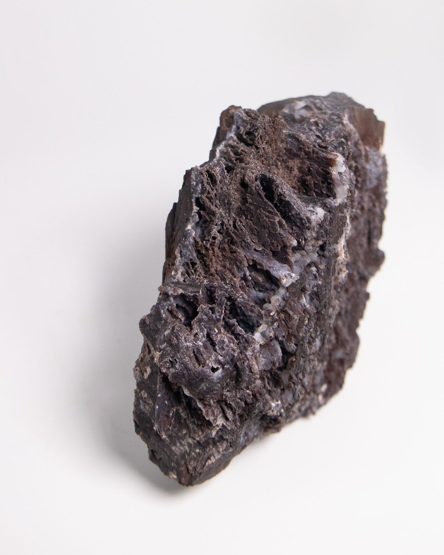 阿爾卑斯產木化石標本，含玉髓結晶與細緻紋理，是收藏者與自然系家居空間的理想裝飾品。