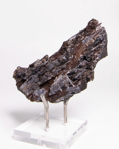 義大利阿爾卑斯產木化石，含玉髓結晶與細緻紋理，是收藏者與自然系家居空間的理想裝飾品。