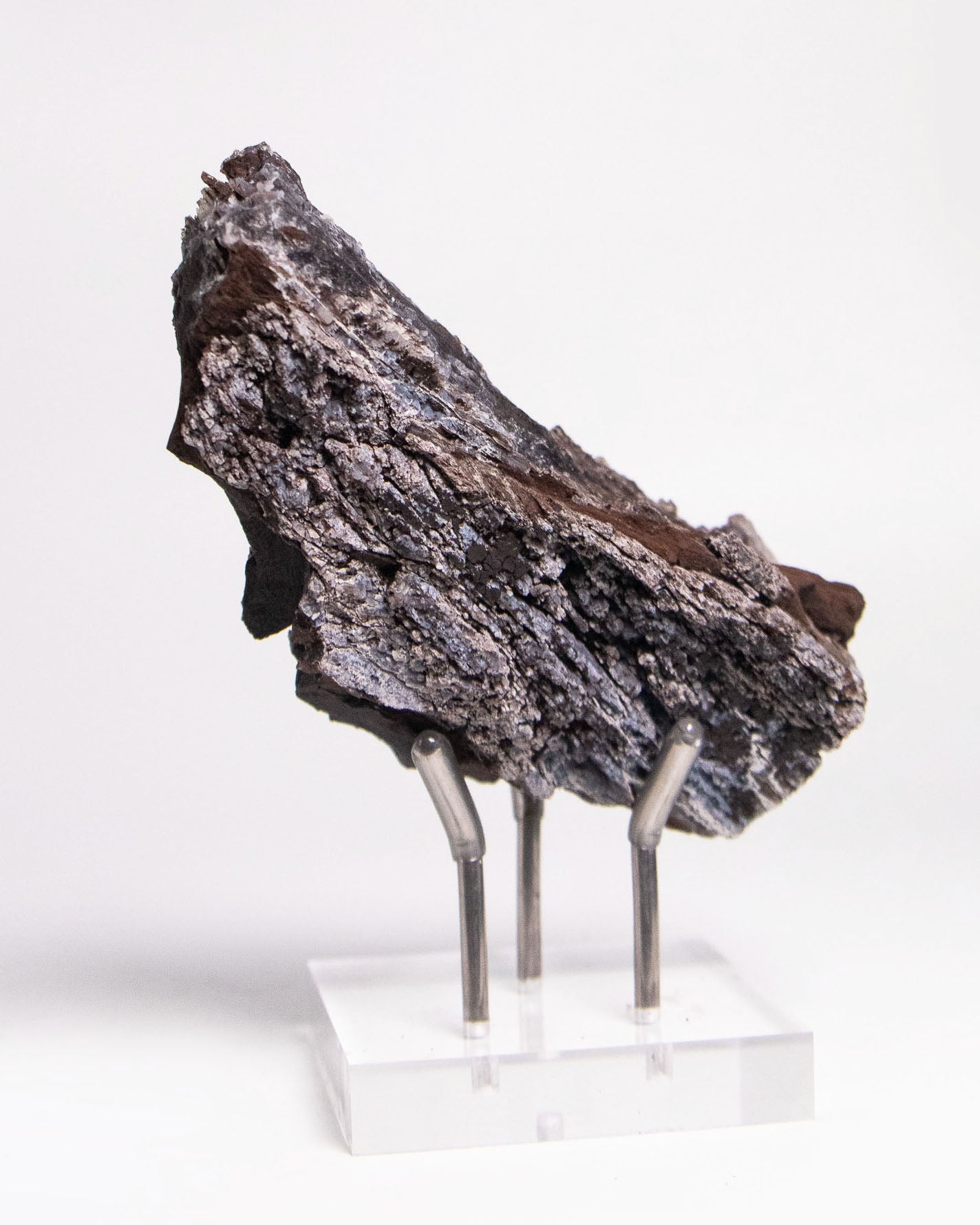 義大利阿爾卑斯產木化石，含玉髓結晶與細緻紋理，是收藏者與自然系家居空間的理想裝飾品。