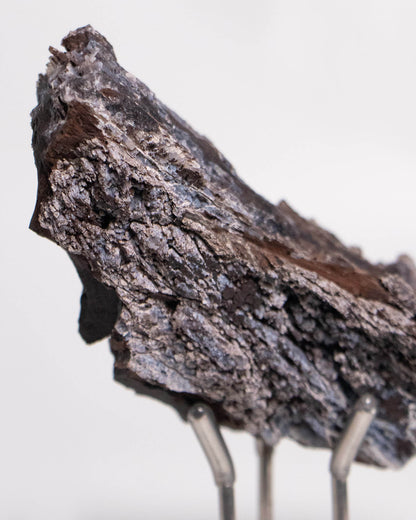 義大利阿爾卑斯產木化石，含玉髓結晶與細緻紋理，是收藏者與自然系家居空間的理想裝飾品。