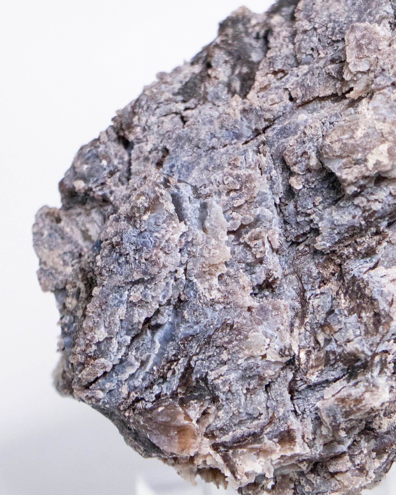 義大利阿爾卑斯木化石共生玉髓rare petrified wood covered with chalcedony features beautiful pale blue hue