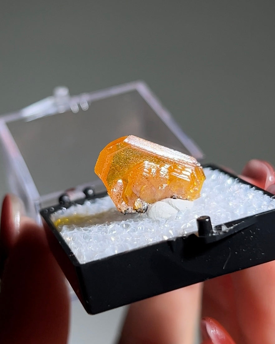 墨西哥鉬鉛礦標本（Mexican wulfenite specimen）呈高度透明的薄板狀晶體（with highly transparent thin tabular crystals）