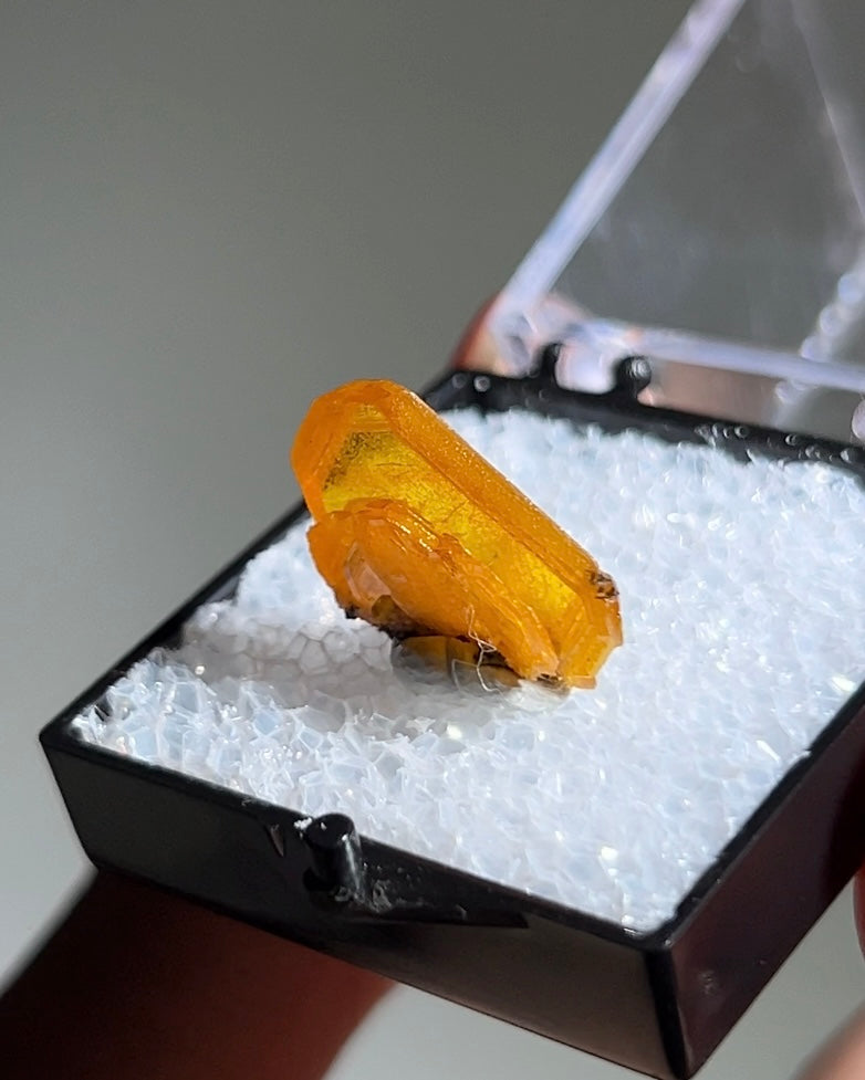 墨西哥鉬鉛礦標本（Mexican wulfenite specimen）呈高度透明的薄板狀晶體（with highly transparent thin tabular crystals）