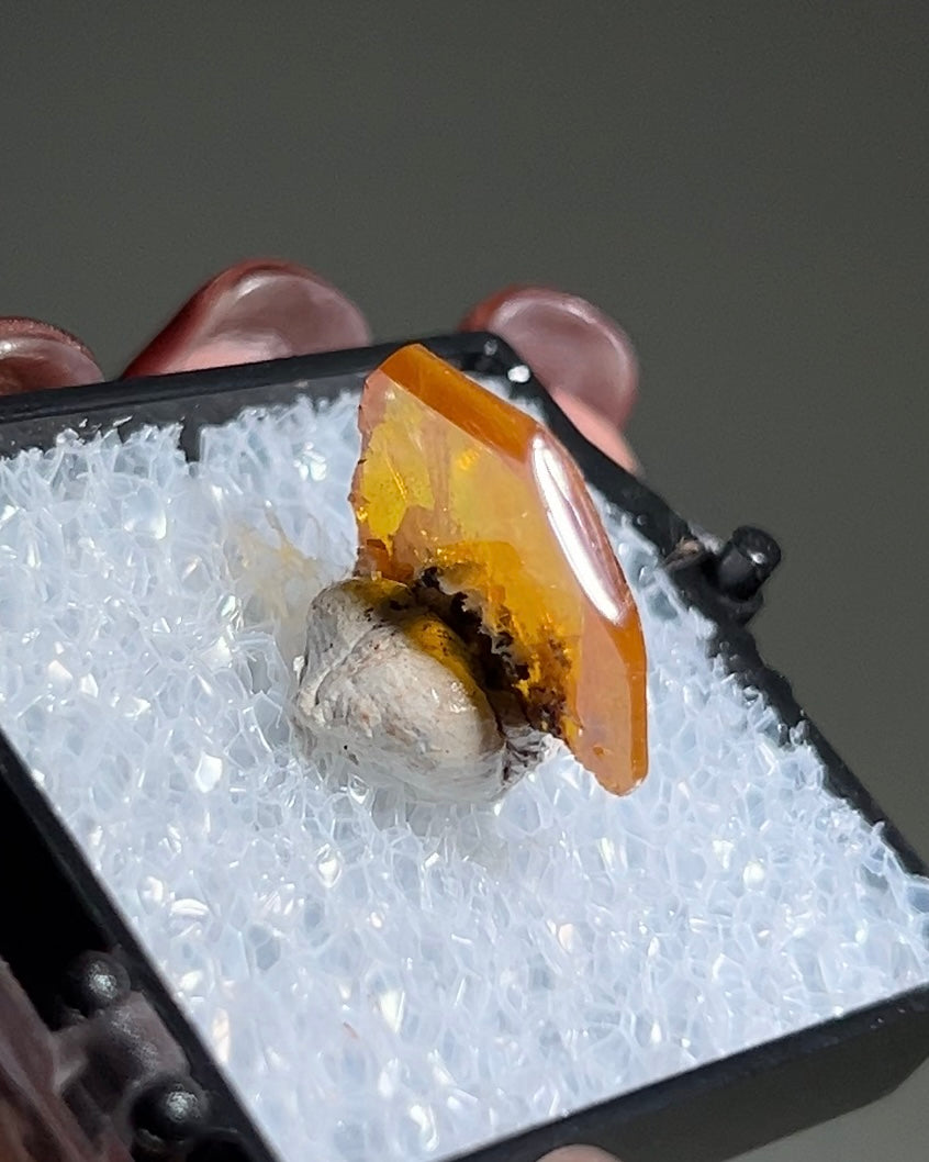 墨西哥鉬鉛礦標本（Mexican wulfenite specimen）呈高度透明的薄板狀晶體（with highly transparent thin tabular crystals）