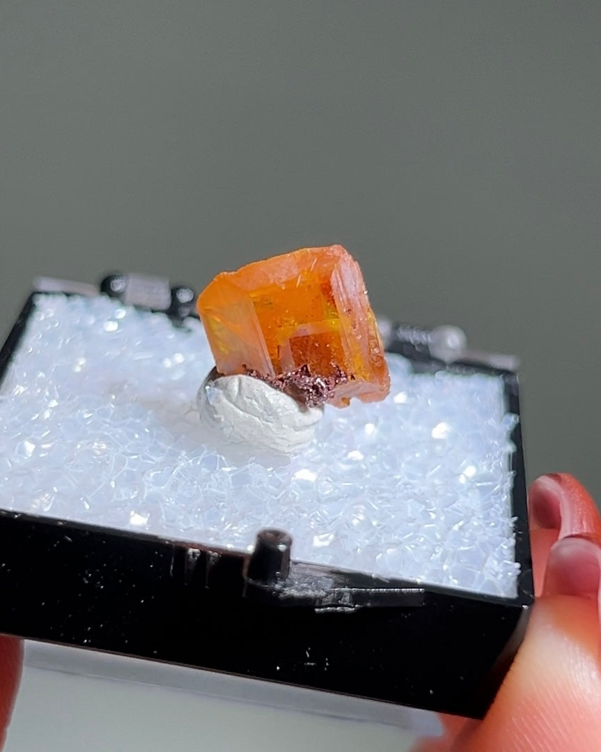 墨西哥鉬鉛礦標本（Mexican wulfenite specimen）呈高度透明的薄板狀晶體（with highly transparent thin tabular crystals）