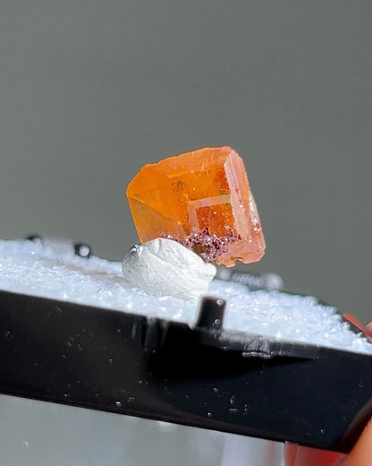 墨西哥鉬鉛礦標本（Mexican wulfenite specimen）呈高度透明的薄板狀晶體（with highly transparent thin tabular crystals）