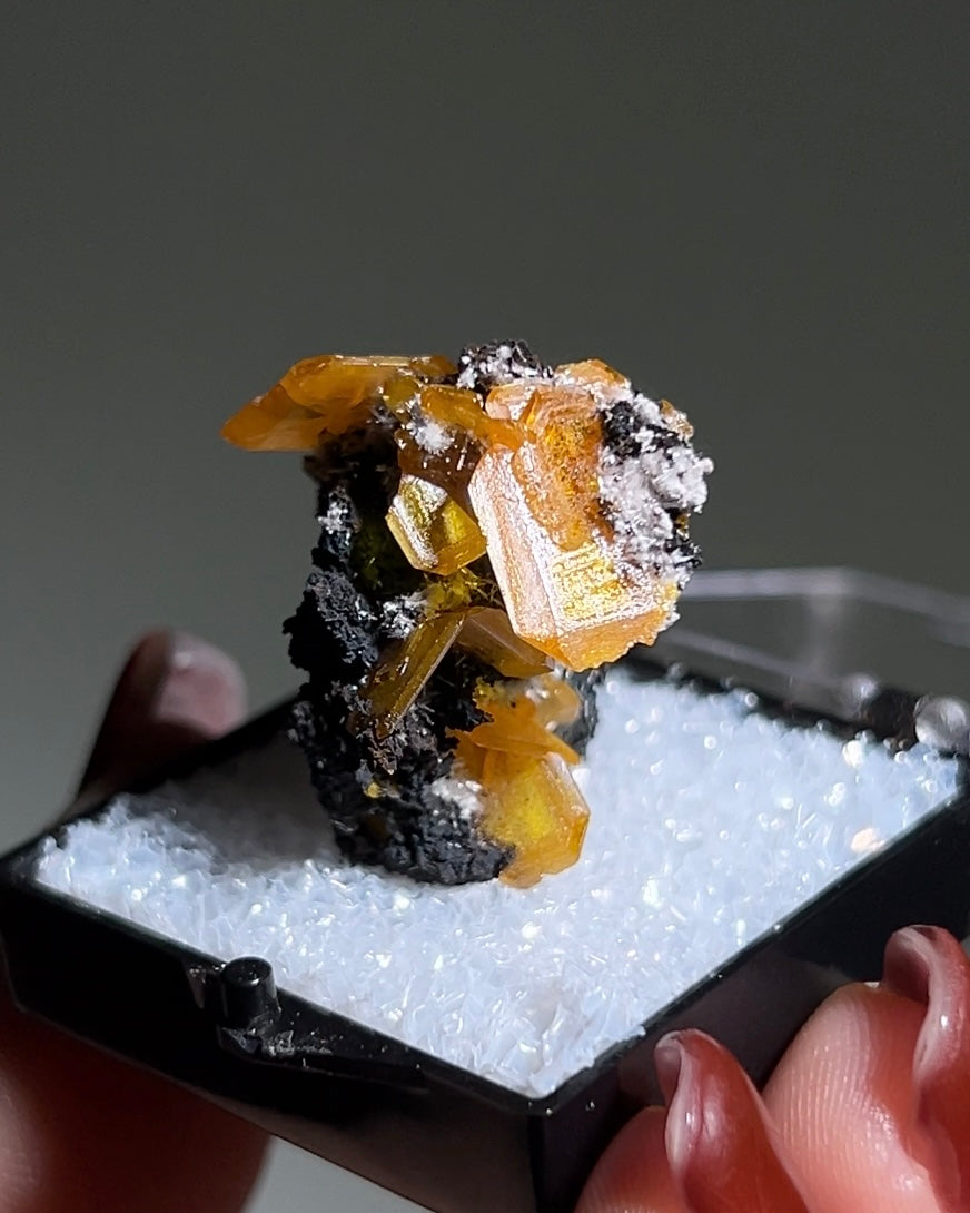 墨西哥鉬鉛礦標本（Mexican wulfenite specimen）呈高度透明的薄板狀晶體（with highly transparent thin tabular crystals）