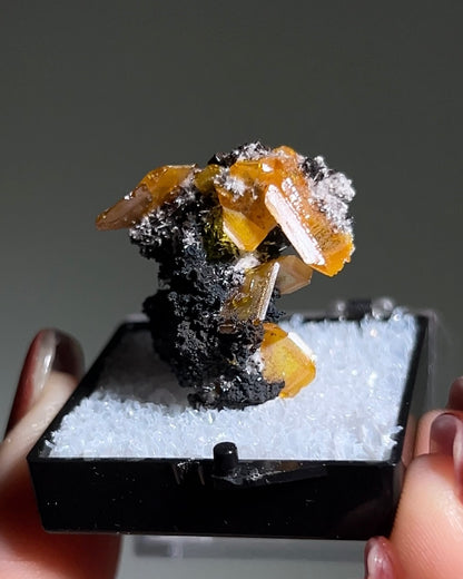 墨西哥鉬鉛礦標本（Mexican wulfenite specimen）呈高度透明的薄板狀晶體（with highly transparent thin tabular crystals）