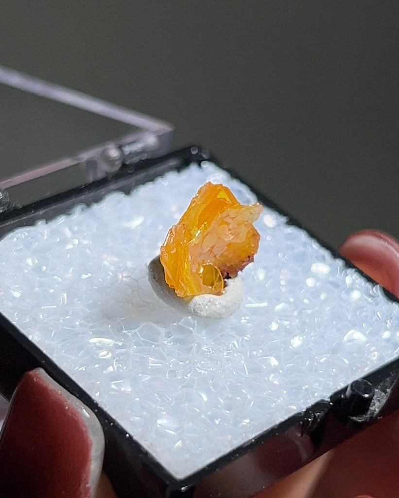 墨西哥鉬鉛礦標本（Mexican wulfenite specimen）呈高度透明的薄板狀晶體（with highly transparent thin tabular crystals）