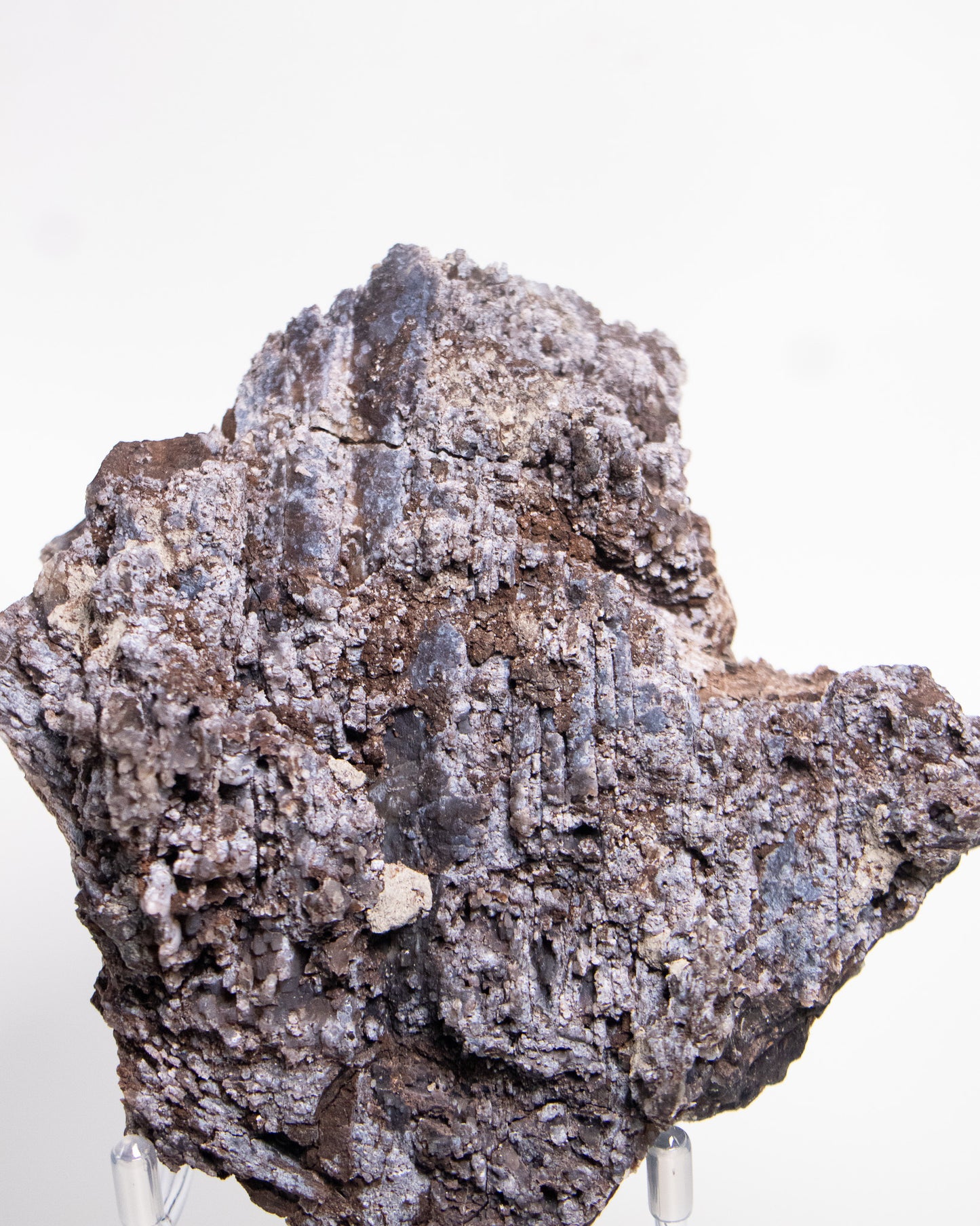 義大利阿爾卑斯木化石藍玉髓