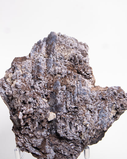 義大利阿爾卑斯木化石藍玉髓