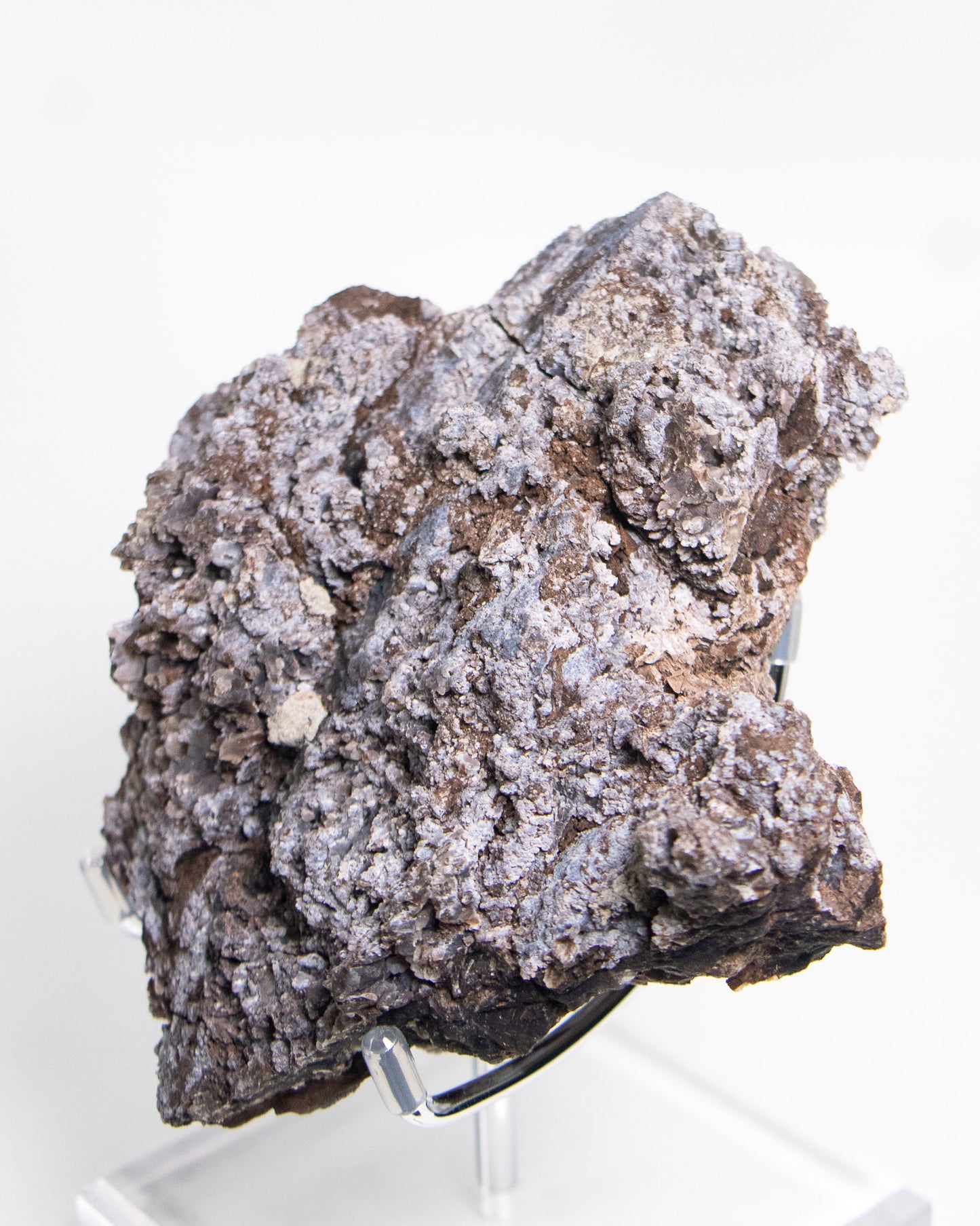 義大利阿爾卑斯木化石藍玉髓