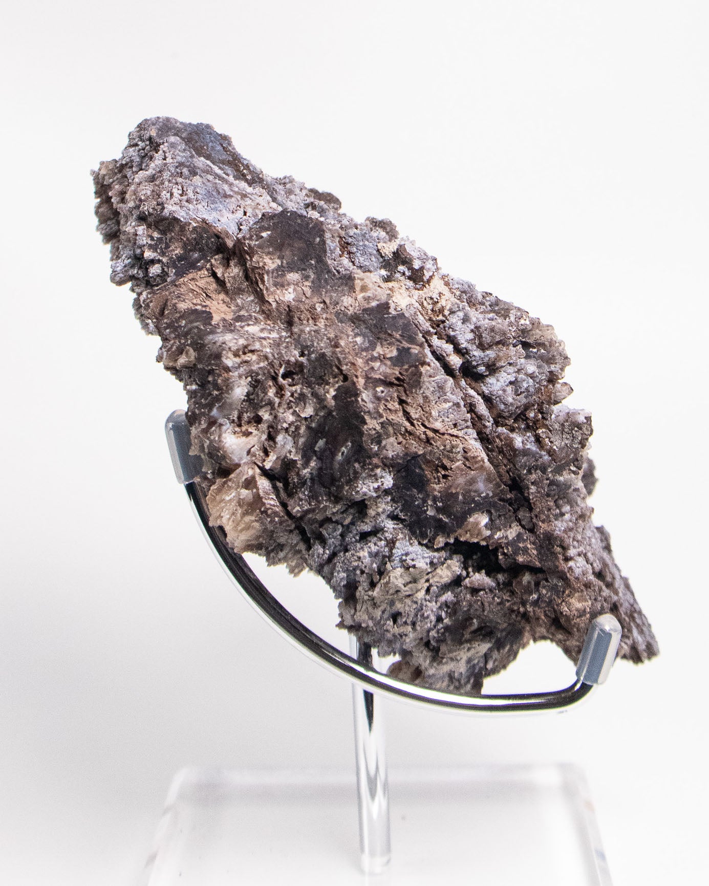 義大利阿爾卑斯木化石藍玉髓