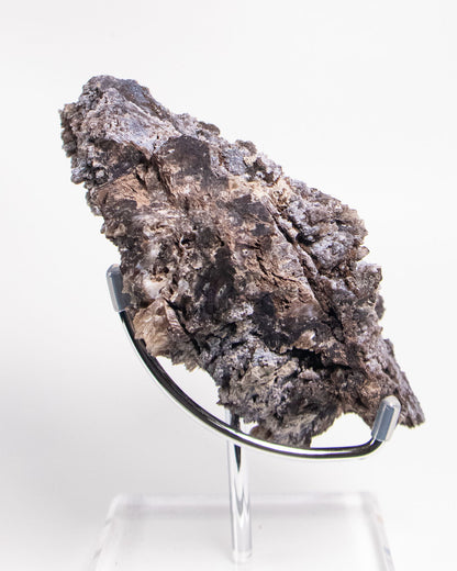 義大利阿爾卑斯木化石藍玉髓